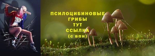 mdpv Краснотурьинск