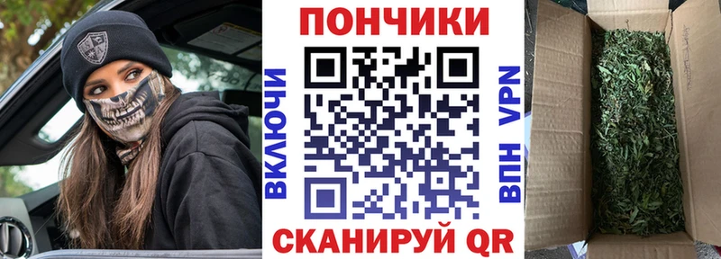 площадка как зайти  Николаевск-на-Амуре  МАРИХУАНА OG Kush 